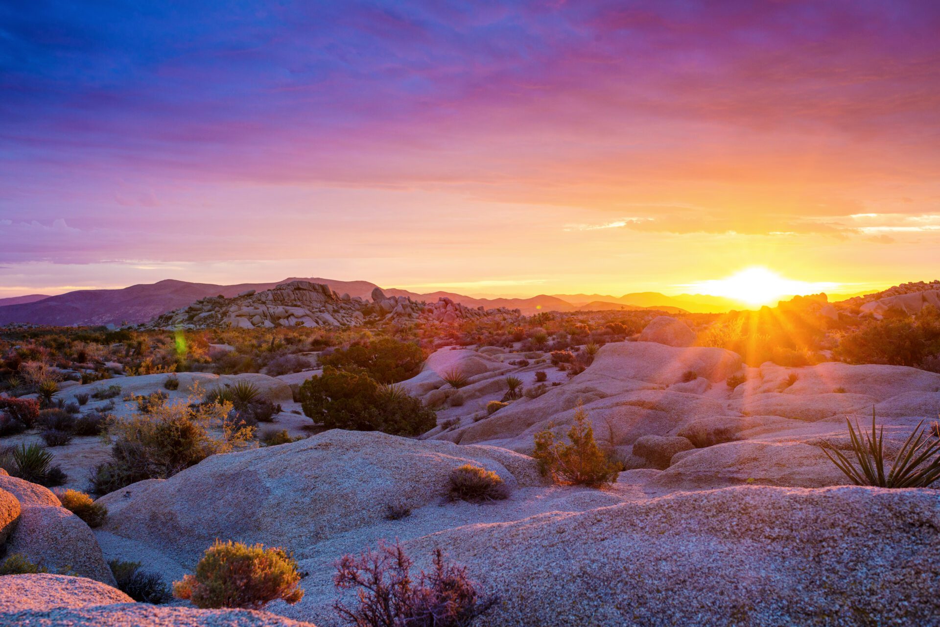 Sunrise at Joshua Tree National Park